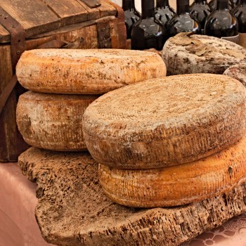 Vineria di Vertine