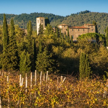 Vineria di Vertine